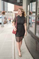 the perfect lbd for spring