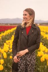 a day trip to the tulip festival