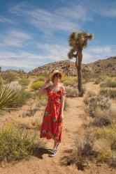 Travel: California diaries - Joshua Tree Park