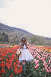 Abbotsford Tulip Festival