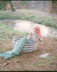 Land Locked Mermaid by Karen Sofia Colon