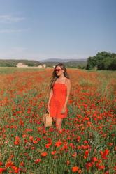 Poppy Fields in France