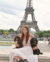 Travelling abroad with your Pet// Pet Travel Series