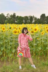 Sunflower Madness