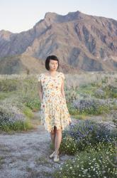 outfit: superbloom at anza-borrego and lessons with timing