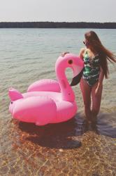#316 Two swimsuits and pink flamingo :)