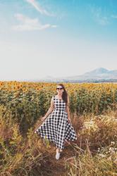 Sunflower Fields