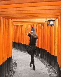 How to spend 48 Hours in Kyoto