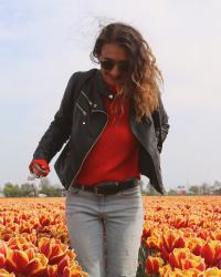 VOIR DES TULIPES À KEUKENHOF