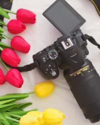 Nikon D5300 s objektívom 70-300 mm f/4.5-6.3 // moje hodnotenie, výhody, prvé dojmy a ukážky fotografií Nikon D5300 s objektívom 70-300 mm f/4.5-6.3 // moje hodnotenie, výhody, prvé dojmy a ukážky fotografií