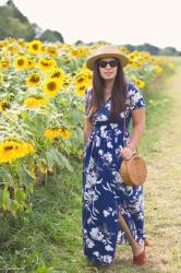 Sunflower Field