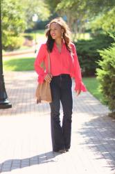 Ann Taylor Bow Sleeve Blouse