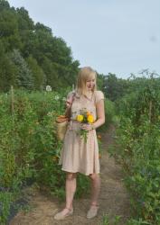 Picking Flowers at Solebury Orchards 