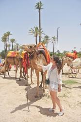 TIPS TO TRAVEL TO MARRAKECH