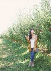 Apple Picking in New York