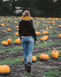Discovered a field full of pumpkins! 🎃