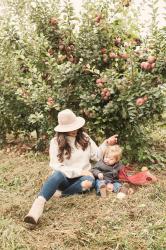 Day Trip To The Apple Orchard