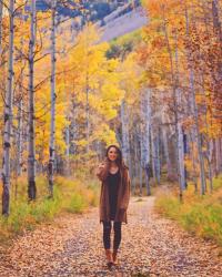 Aspen in the Fall Pt.1