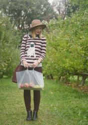 Apple Picking in New Hope