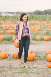 The Best Chicago Pumpkin Patch