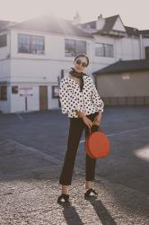 Fall in Polka Dot & Circle Bag