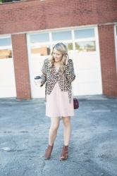 Why You Need More Leopard In Your Life