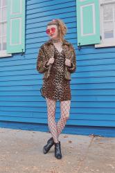 Leopard on Leopard
