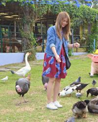 Theme Park Zoo in Tagaytay