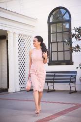 Review: Mansur Gavriel Circle Leather Bag + Pink Scallop Lace Midi Dress