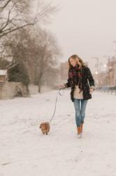 Staples for Winter Dog Walks