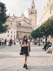 Cinco bares de toda la vida para comer en Sevilla