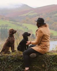 5 Fun Adventures to Have with your Dog