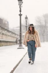 Paris sous la neige