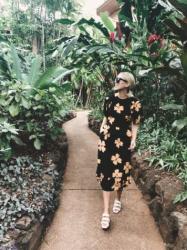 Florals In Hawaii