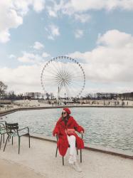 cherry blossoms in paris