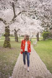 my top five spring activities in seattle