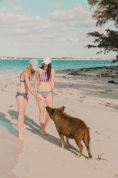 Swimming with Pigs in the Bahamas