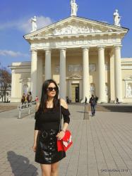 Vilnius Travel Guide