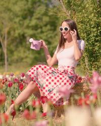 Wander and Pick - Il parco dei tulipani 
