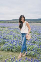 Bluebonnets in Texas