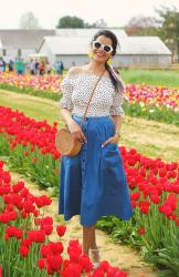 A Day Among Tulip Fields At Holland Ridge Farms, New Jersey