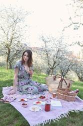 Spring picnic