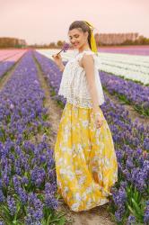 Fields of hyacinths