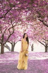 Cherry Blossoms :: Tulle dress & Classic bracelets