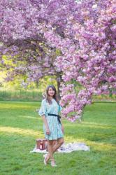 Pink paradise – Les cerisiers du Parc de Sceaux