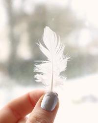 WHITE FEATHER