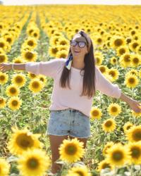 Campo Girasoles