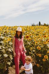 Sunflower Fields in Woodland