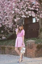 Cherry Blossom