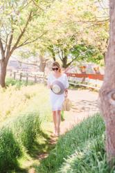 Summer Stroll